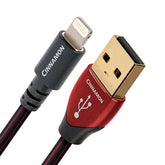 Fulmine USB alla cannella